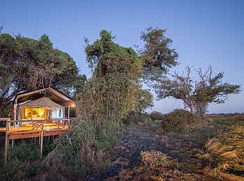 Rra Dinare Camp: Beleuchtetes Gästezelt