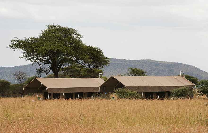Serengeti Kati Kati Tented Camp: Zwei Gästezelte Serengeti Kati Kati Tented Camp: Zwei Gästezelte