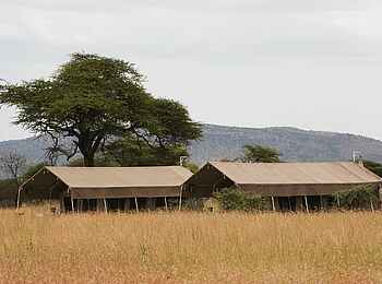 Serengeti Kati Kati Tented Camp: Zwei Gästezelte Serengeti Kati Kati Tented Camp: Zwei Gästezelte