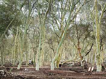 The Outpost: Picknick unter Fieberbäumen