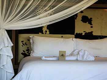 Camp Kuzuma: Kissen und Moskitonetz Camp Kuzuma: Kissen und Moskitonetz