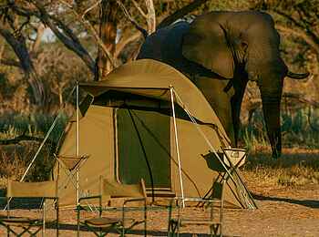 Hwange Bush Camp: Flycamping Domzelt