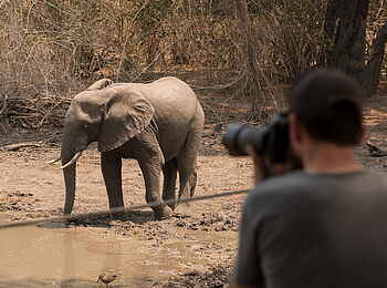 Kanga Expeditions: Elefant an der Pfanne