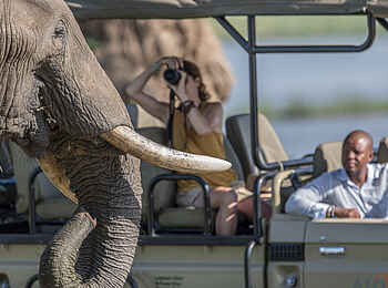 Nyamatusi Camp: Elefant neben Landrover Nyamatusi Camp: Elefant neben Landrover