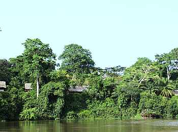 Sangha Lodge: Lage am Ostufer des Flusses Sangha Lodge: Lage am Ostufer des Flusses
