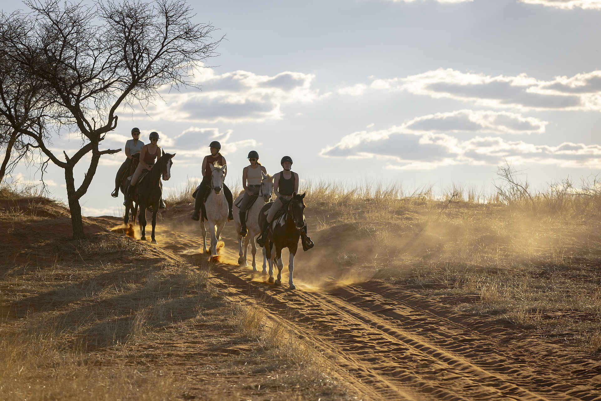 Bagatelle Kalahari Game Ranch: Ausritt