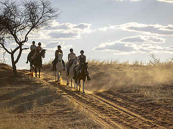Bagatelle Kalahari Game Ranch: Ausritt