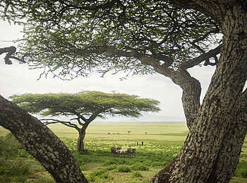 Charlie Sanjan Safari Camp: Frühstück mit Ausblick