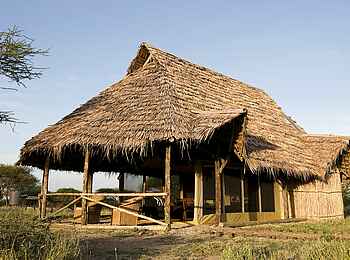 Kambi ya Tembo Camp: Zelt mit Reetdach