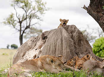 Kanana-Nyana-Camp: Aussicht