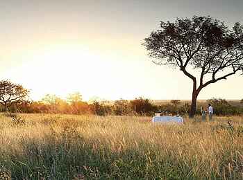 Londolozi Tree Camp: Getränkepause