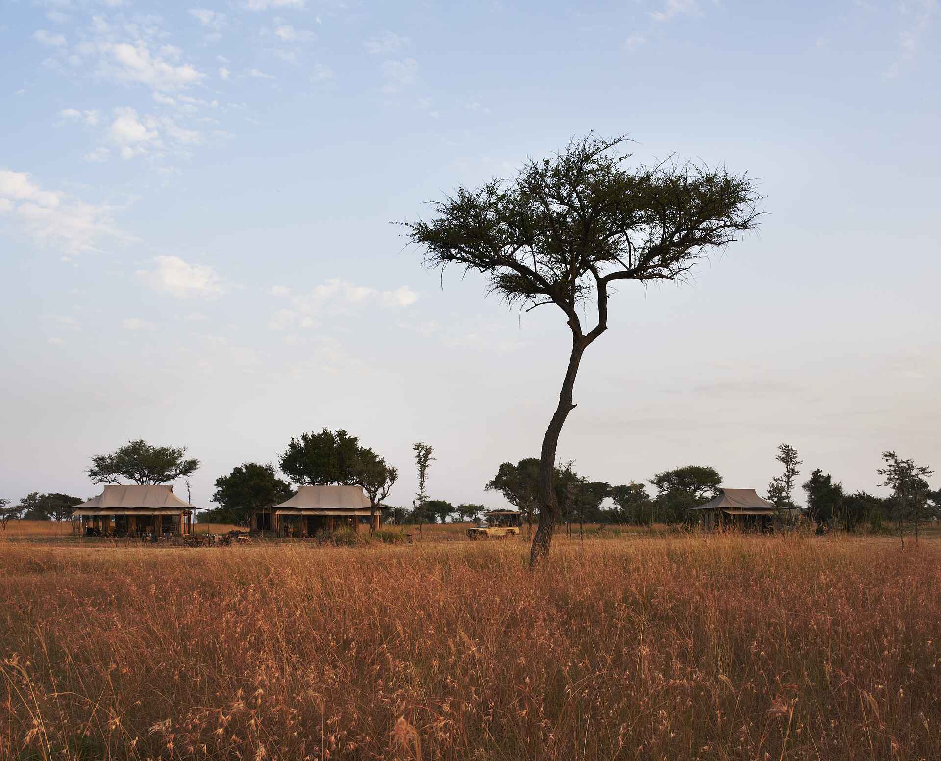 5 sterne, africa, afrika, afrikarma, auszeichnung, award, babysitter, bilder, buchen, buchung, büffel, butler, butlerservice, east africa, elefant, exklusiv, exklusivnutzung, familie, gallerie, geführte buschwanderungen, grumeti, grumeti reservat, grumeti reserve, heißluftballon, information, informieren, kinder, kinderbetreuung, koch, leopard, life in balance, löwe, luxuriös, luxus, massage, mobil, mobile camp, mobiles camp, nachhaltigkeit, nachtpirschfahrten, nashorn, nordtansania, north tanzania, northern tanzania, ostafrika, pferde, pirschfahrten, privat, privatreservat, privatsphäre, reise, reisen, reiseveranstalter, reiten, safari, Singita, singita explore, singita explore mobile tented camp, singita grumeti reserve, singita mobile, spa, spitzmaulnashorn, tansania, tanzania, urlaub, www.afrikarma.de, zimmerservice, anlage, ansicht, central facilities, gebäude, landschaft, main area, zentrale einrichtungen