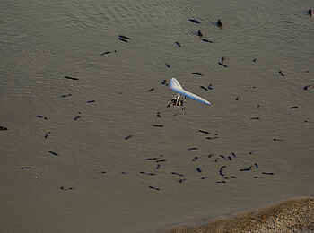 Tafika Camp: Microlight über dem Luangwa