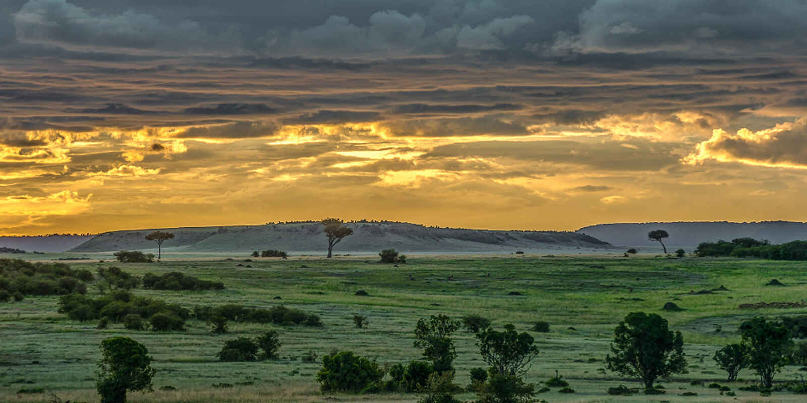 Entim Masai Mara: Landschaft Entim Masai Mara: Landschaft