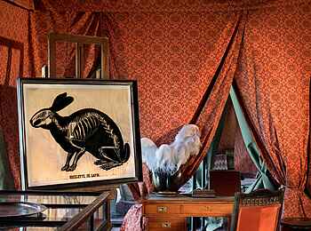 Jack's Camp: Schreibtisch und Hasenskelett