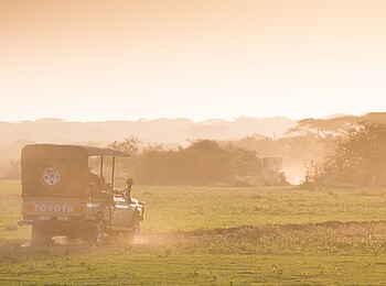 Legendary Mila Tented Camp: Game Drive
