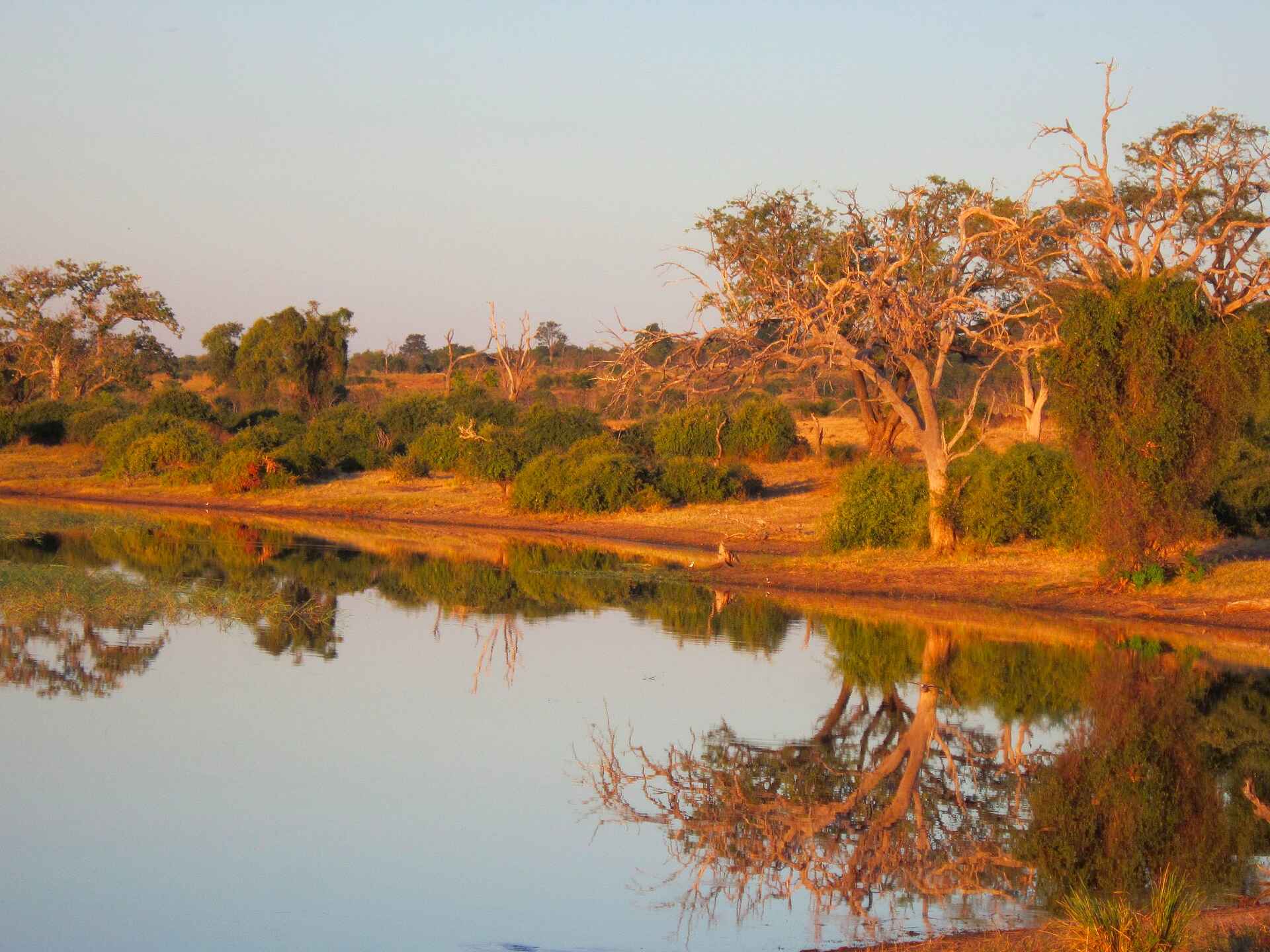 Chobe Elephant Camp, Abgeschiedenheit, Afrika, Botswana, Chobe National Park, Chobe River, Elefant, Natur, Safari, Savanne, Sibuya Tribe, Victoriafälle, Wildnis, Ausblick, Fluss, afrikarma, afrikarma.de, Afrikarma Safaris