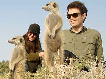 Jack's Camp: Erdmännchen