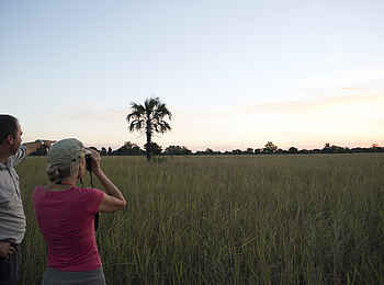 Kubatana Camp: Sonnenuntergang in der Savanne