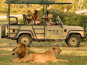 Lake Manze Camp: Löwenpause Lake Manze Camp: Löwenpause