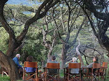 Lemala Ngorongoro: Unter Bäumen Lemala Ngorongoro: Unter Bäumen