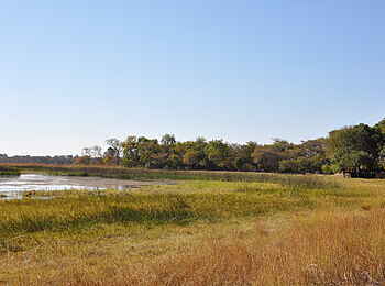 Nanzhila Plains Safari Camp: Dambo Nanzhila Plains Safari Camp: Dambo