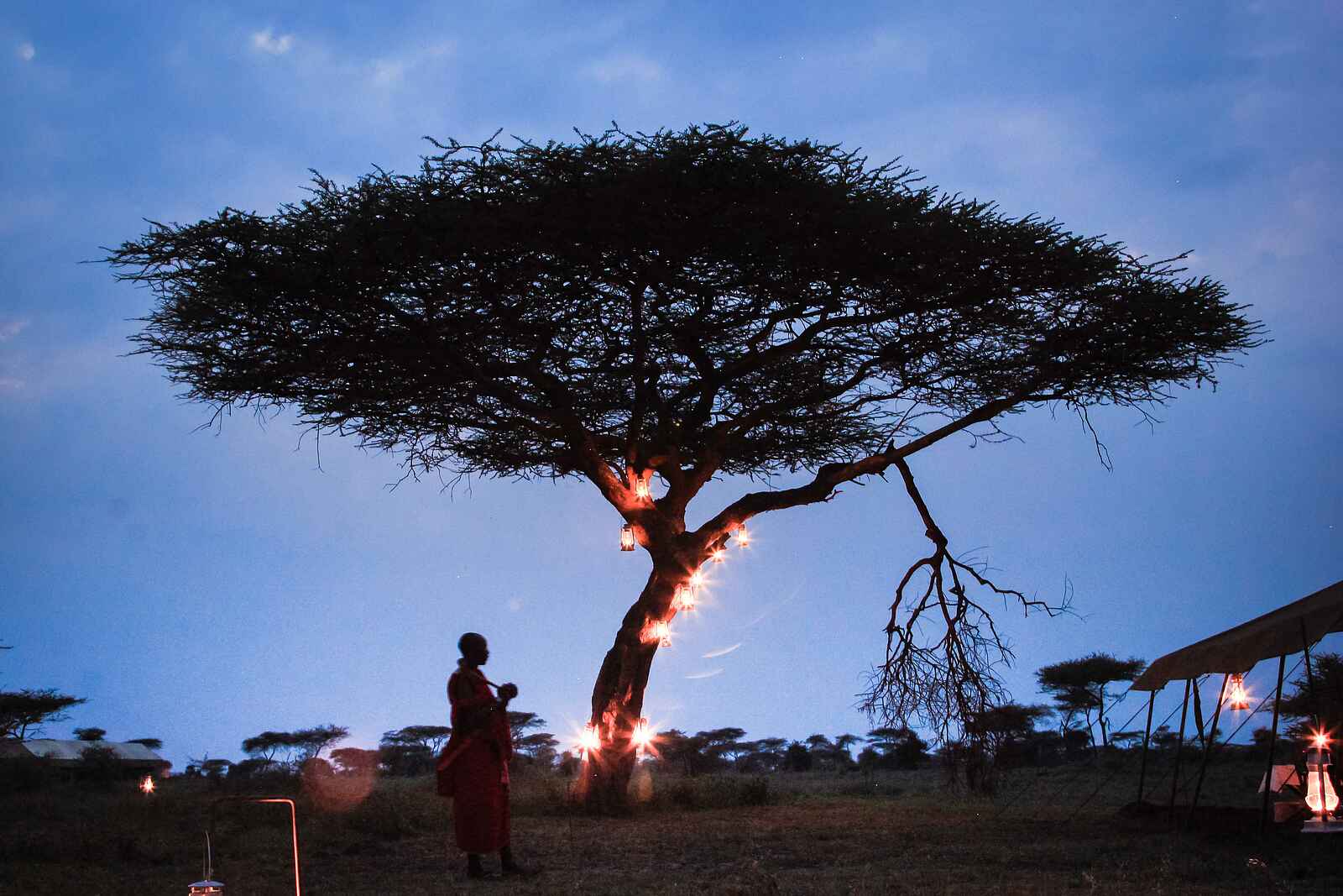 Olaado Camp: Öllampen an einer Akazie Olaado Camp: Öllampen an einer Akazie