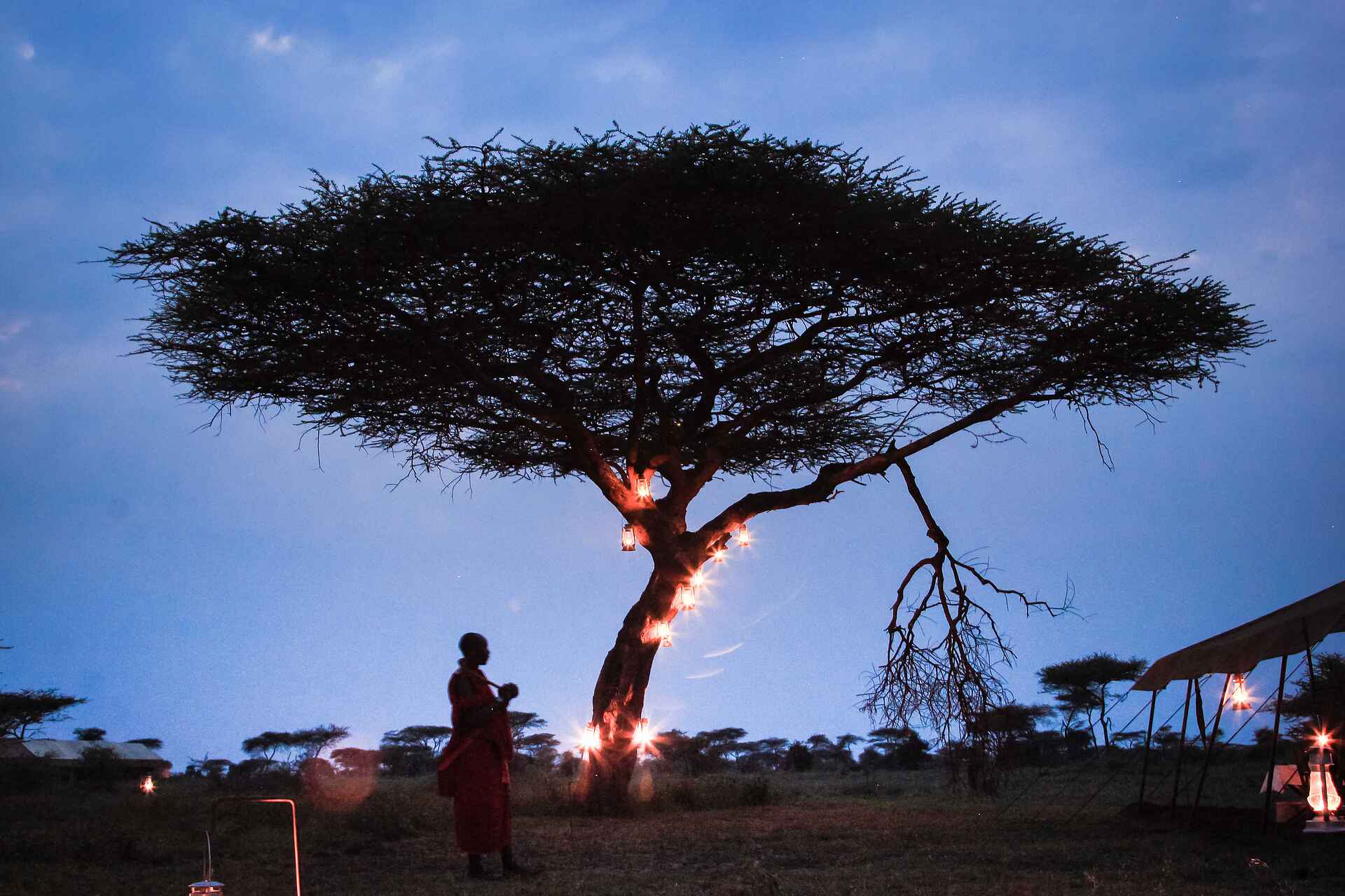 Olaado Camp, Tanganyika Expeditions, Akazien, Laternen, Afrikarma, Afrikarma Safaris, Afrikarma Safaris - Wildnis. Hautnah., Afrikarma.de