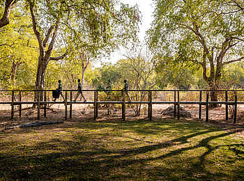 Sanguni Safari Lodge: Wege in der Lodge