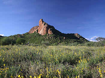 Saruni Samburu: Die Landschaft des Kalama-Schutzgebiets