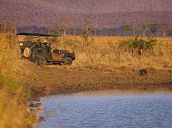 Stanley's Kopje Camp: Game Drive Stanley's Kopje Camp: Game Drive