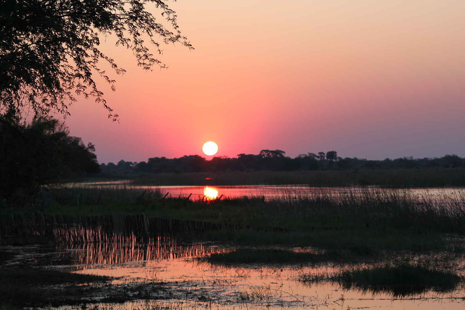 Thamalakane River Lodge: Sonnenuntergang Thamalakane River Lodge: Sonnenuntergang
