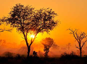 Inyati Game Lodge: Sonnenaufgang