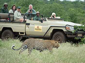 Mashatu Game Reserve: Männlicher Leopard