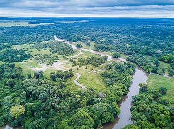 Mboko Camp: Luftbild des Lekoli Rivers