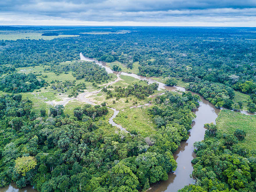 Mboko Camp: Luftbild des Lekoli Rivers Mboko Camp: Luftbild des Lekoli Rivers