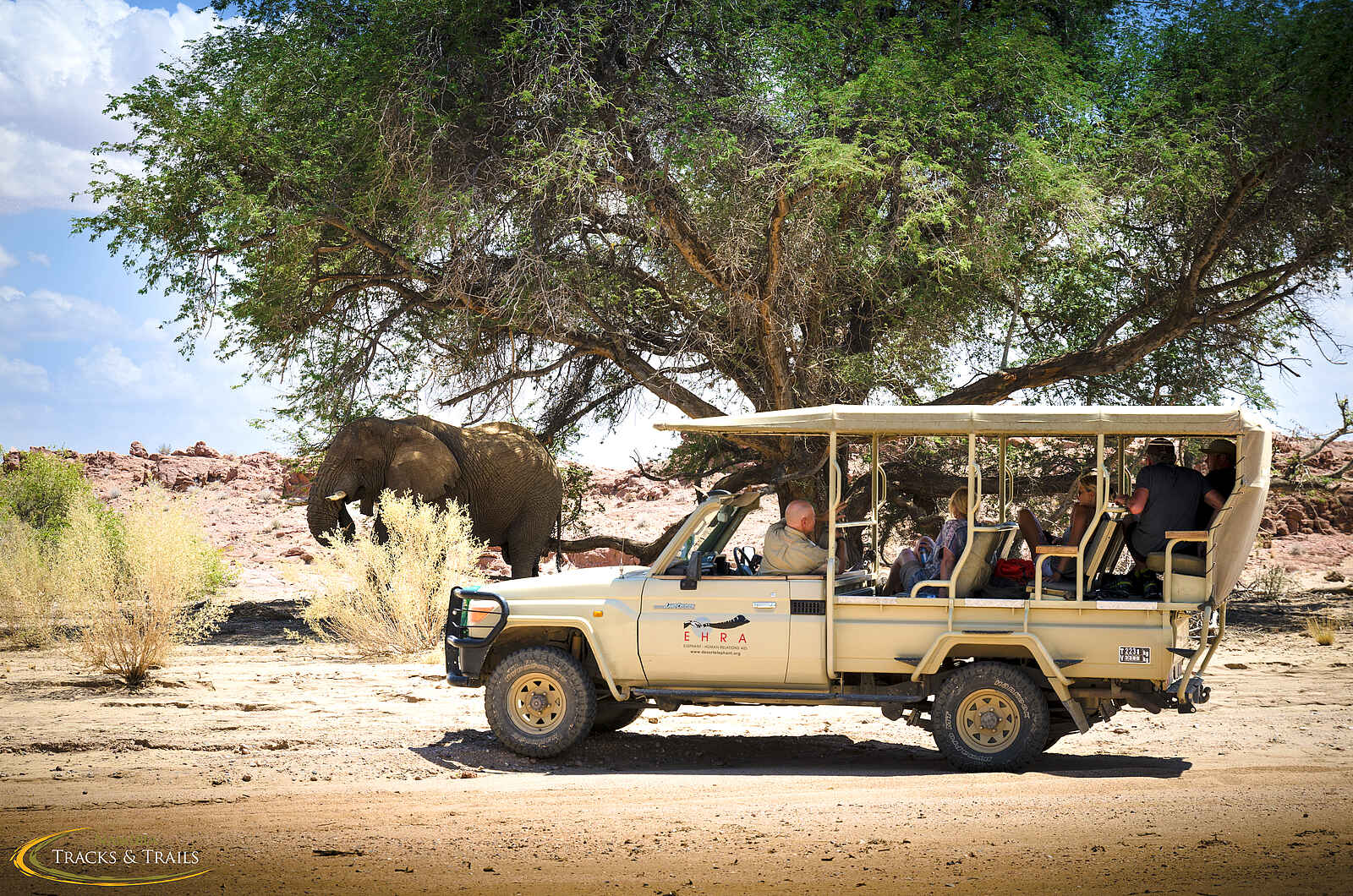 Ozondjou Trails: Elefanten auf einem Game Drive Ozondjou Trails: Elefanten auf einem Game Drive