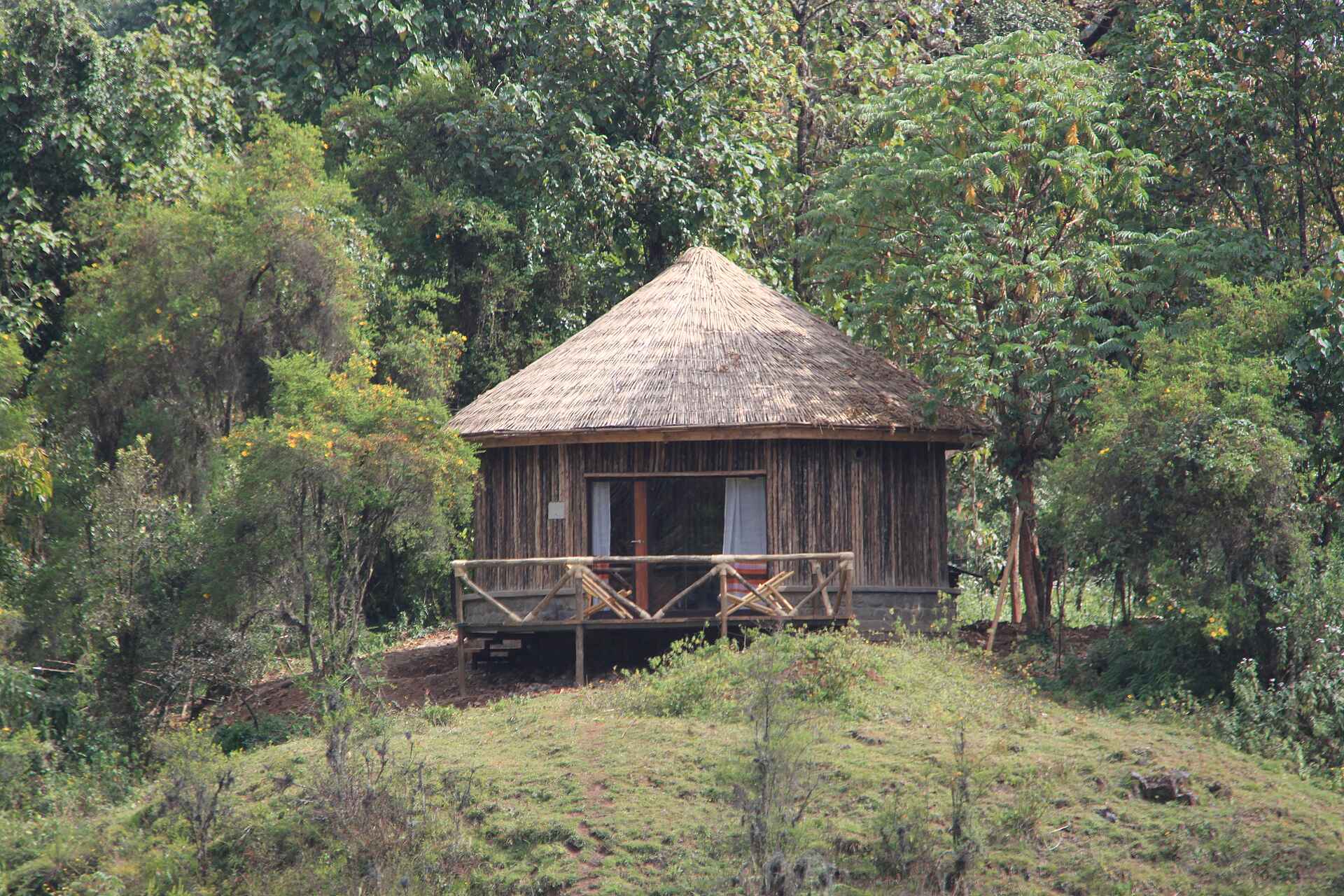 Bale Mountain Lodge: Rundhütte im traditionellen Stil