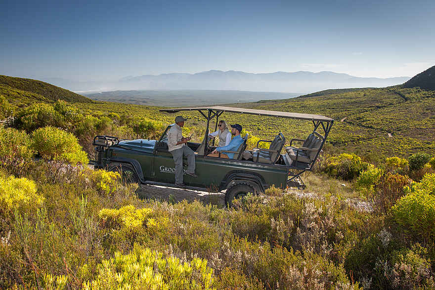 Grootbos Forest Lodge: Auf Pirschfahrt Grootbos Forest Lodge: Auf Pirschfahrt