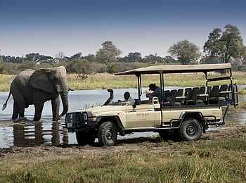 Khwai Leadwood: Game Drive mit Elefant