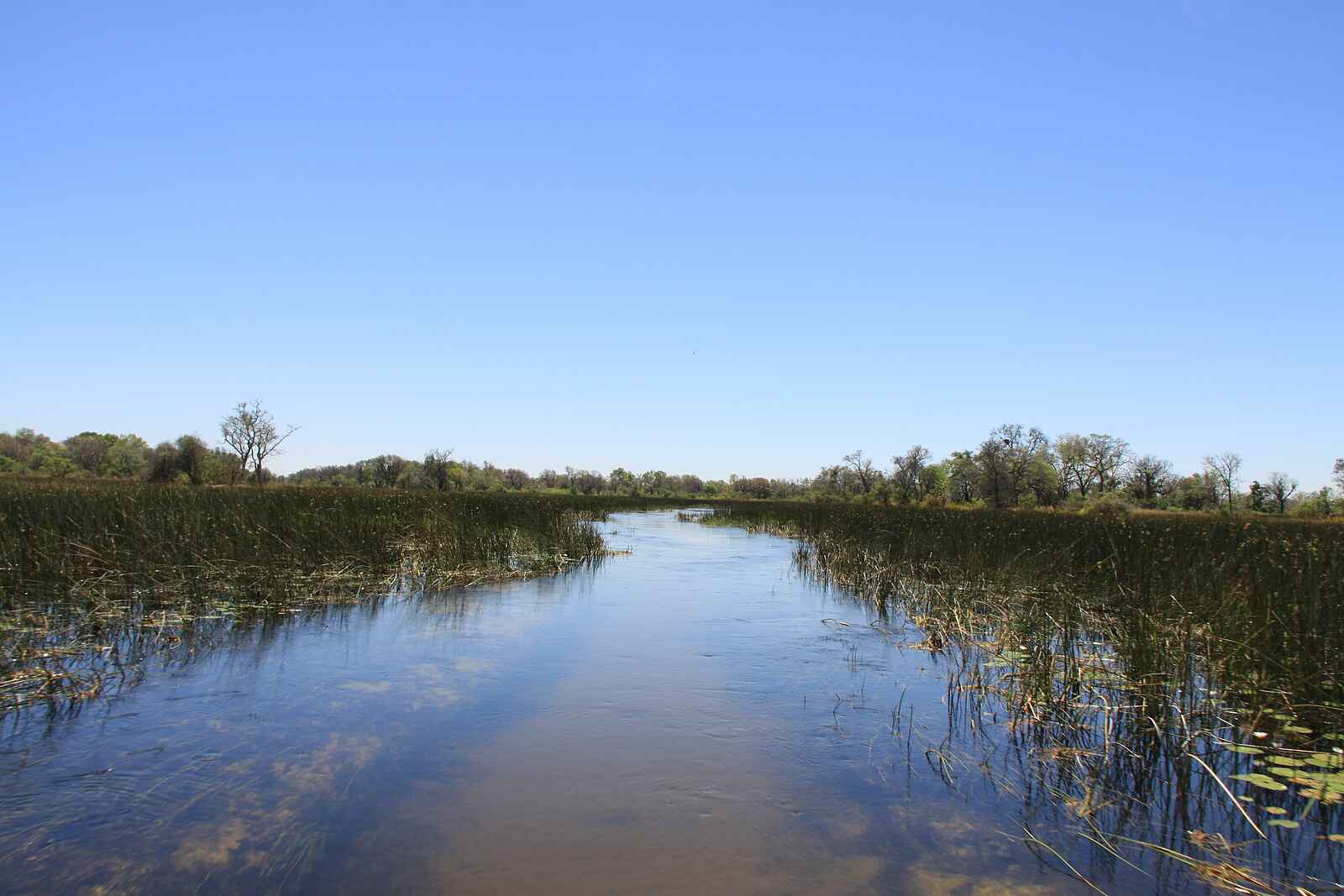 Kujwana Camp: Fluss Kujwana Camp: Fluss