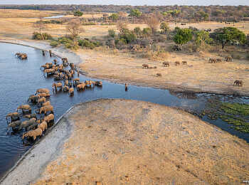 Luiana Plains Expedition Camp: Elefantenherde im Wasser