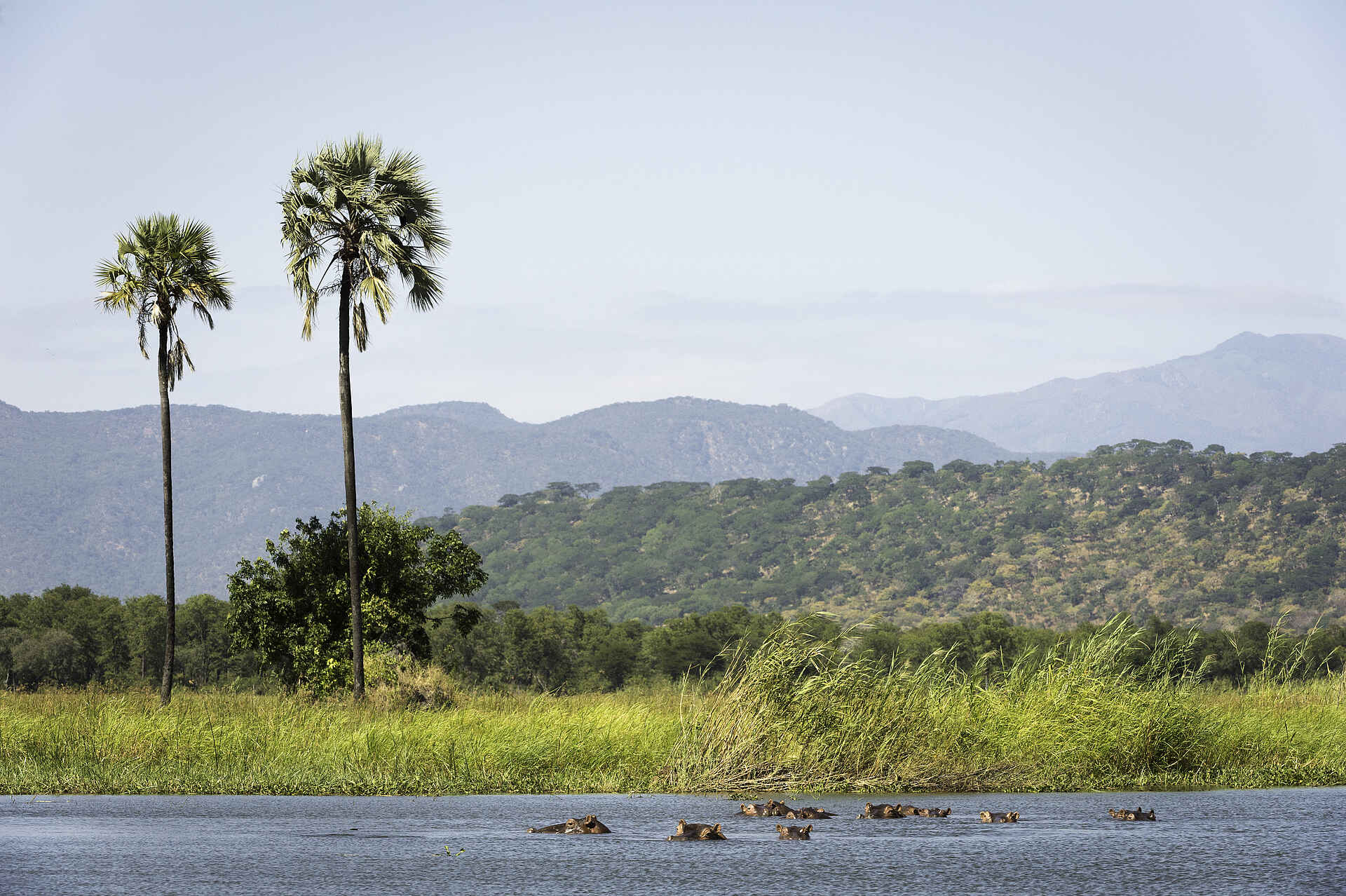 Miyala Camp: Die Landschaft