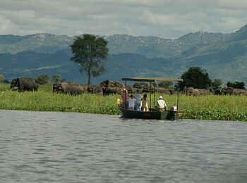 Mvuu Camp: Bootsfahrt mit Elefanten