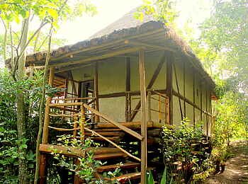 Papaya Lake Lodge: Treppe zu einem Gästechalet
