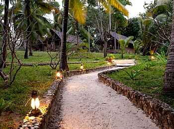 Pole Pole Bungalows: Weg zu den Bungalows