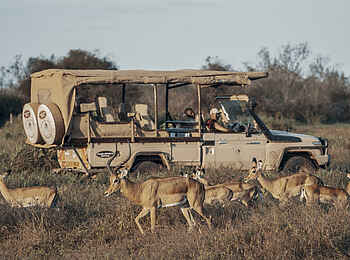 Porini Amboseli Camp: Game Drive Porini Amboseli Camp: Game Drive