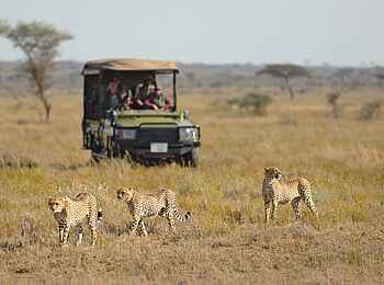 The Retreats at Namiri Plains Camp: Game Drive The Retreats at Namiri Plains Camp: Game Drive