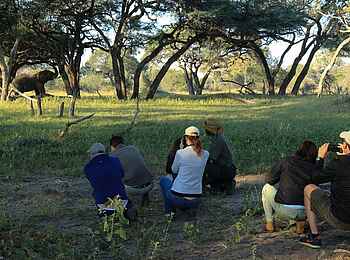 Tum Tum Treehouse Lodge: Walking Safari