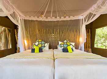 Leopard Plains: Doppelbett und Kissen Leopard Plains: Doppelbett und Kissen